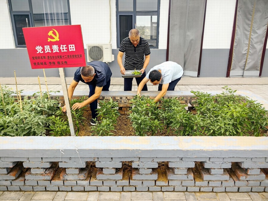 乐虎建设渭南分公司第十二项目部系列暖心举措“亮”了 乐虎建设渭南分公司第十二项目部系列暖心举措“亮”了