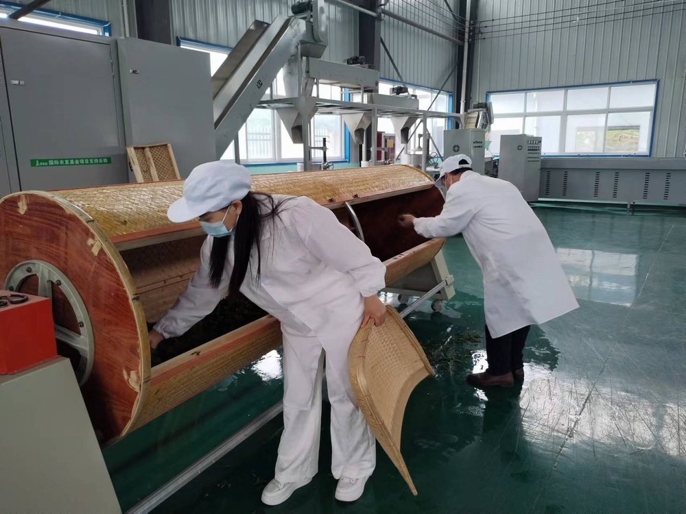 乐虎建设定点帮扶村:“天池大碗茶”促进产业发展正循环 乐虎建设定点帮扶村:“天池大碗茶”促进产业发展正循环